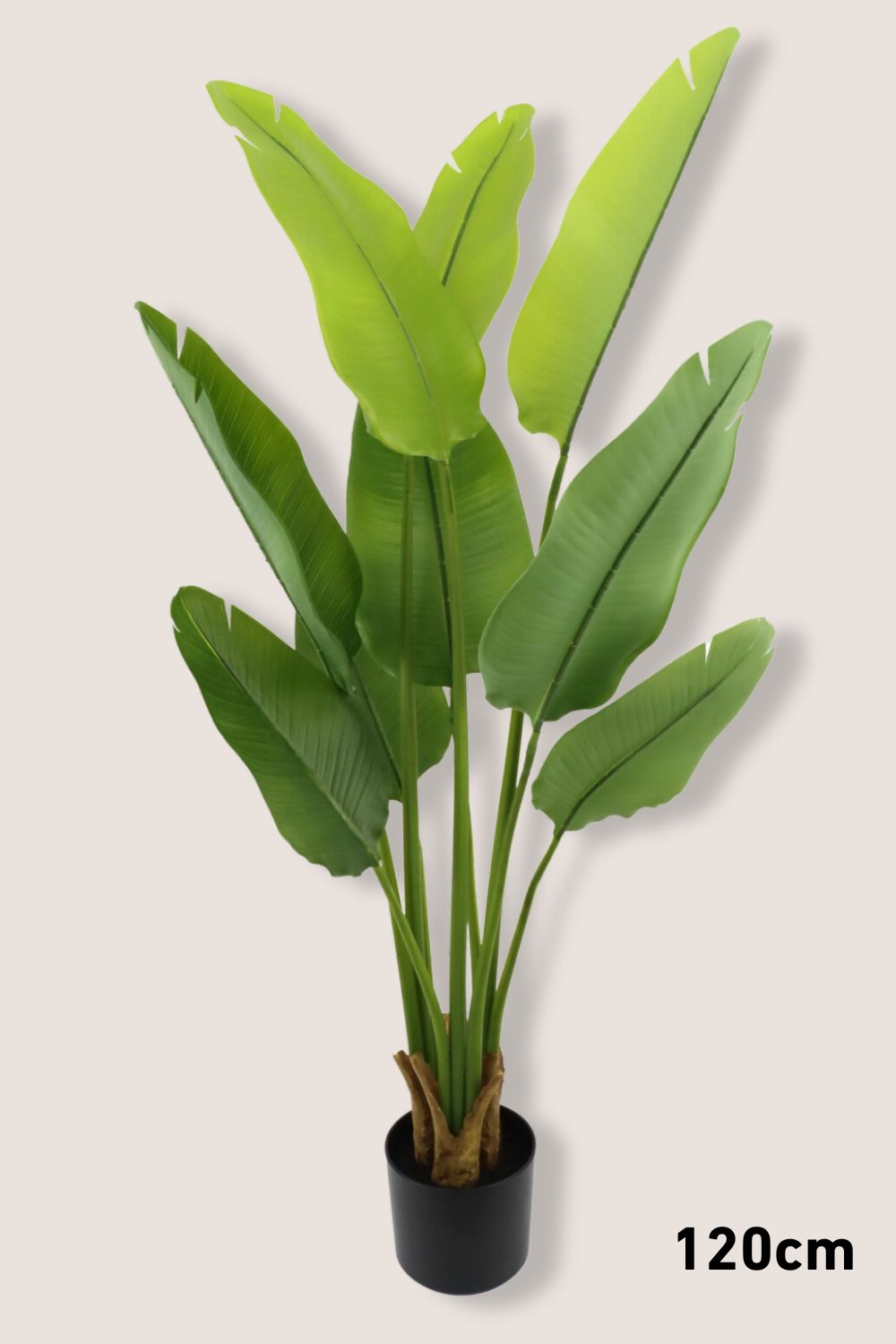 Strelitzia Kunstplantenpakket 3st.