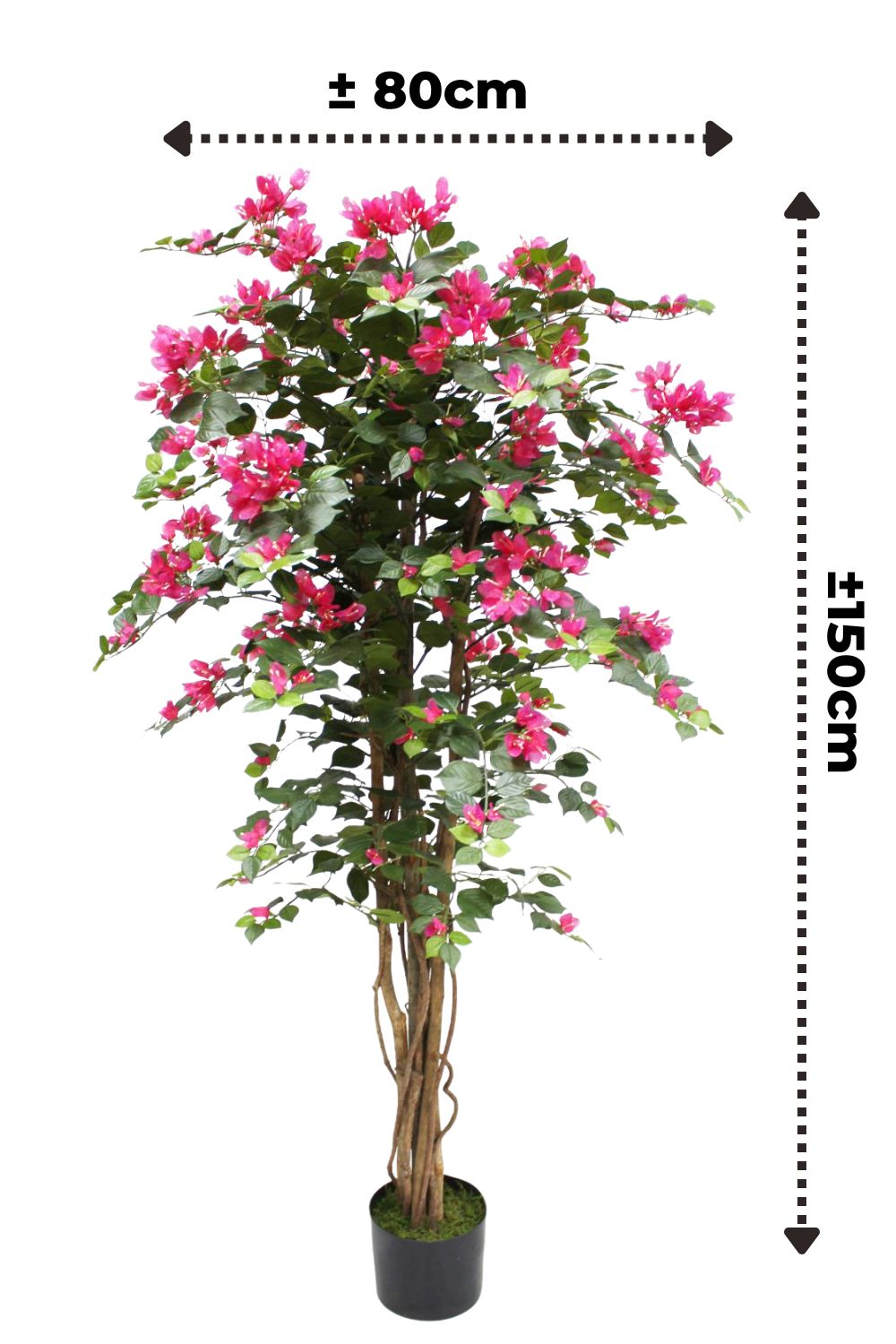 afmetingen bougainvillea kunstplant 150cm