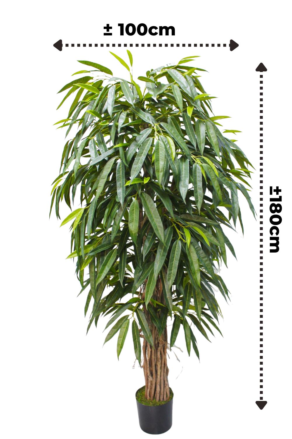 Afmetingen Longifolia kunstplant 180cm