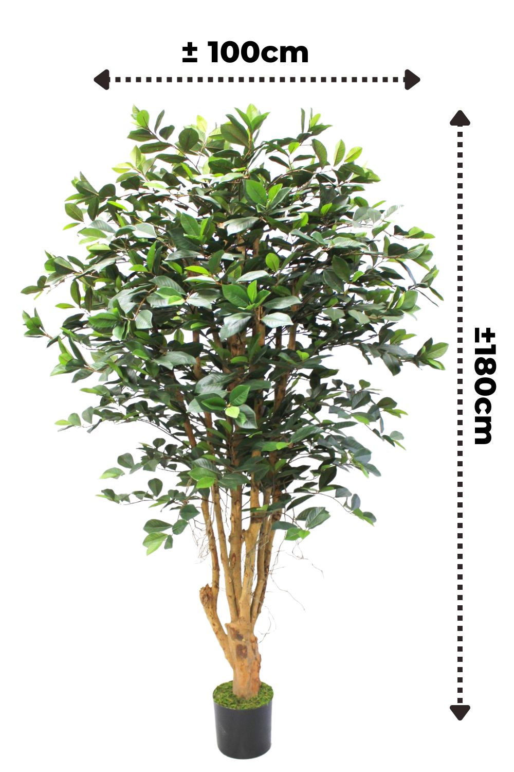 afmetingen ficus kunstplant 180cm