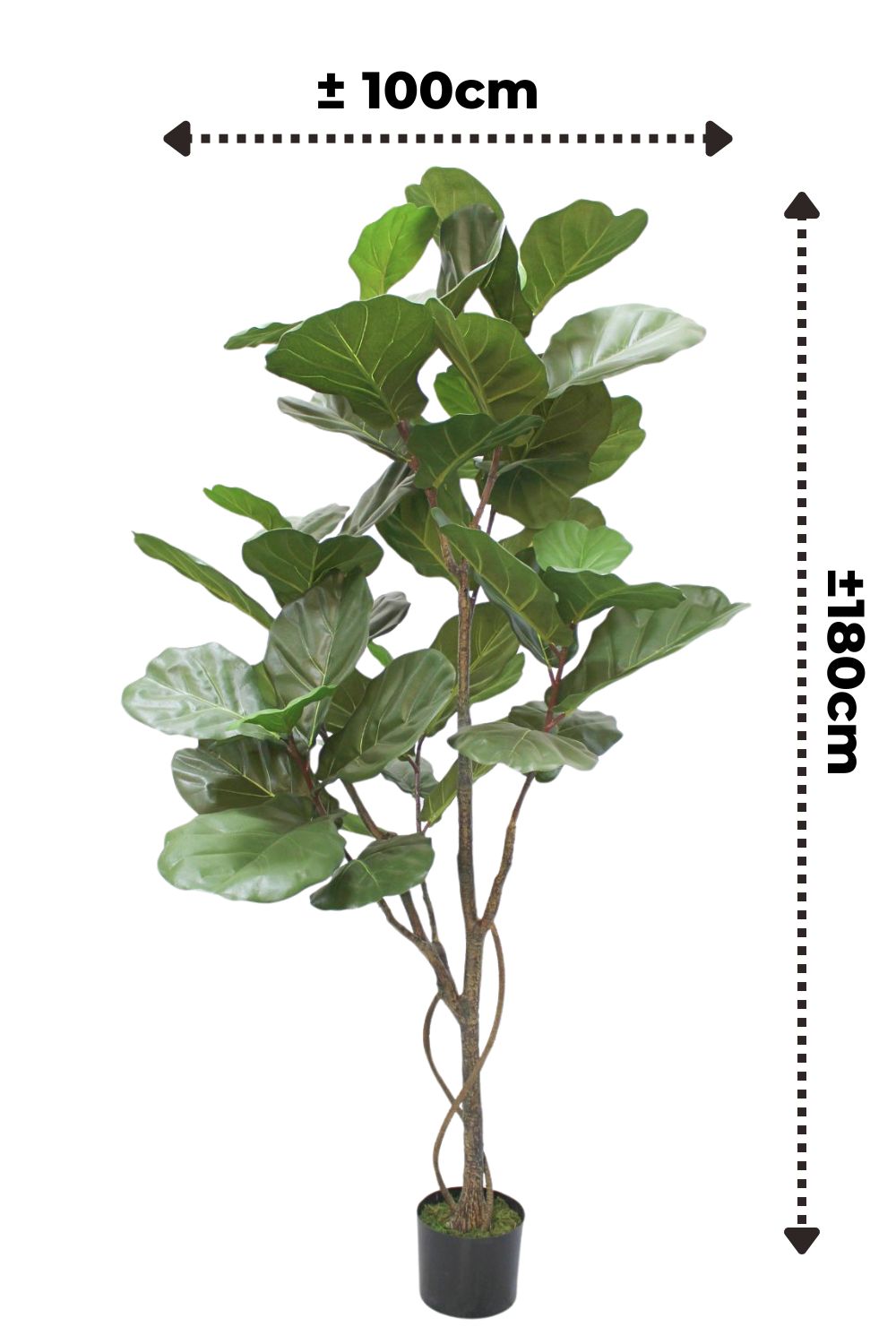 afmetingen ficus lyrata kunstplant 180cm