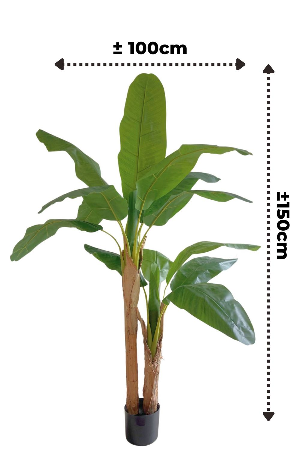 afmetingen kunst bananenplant 150cm