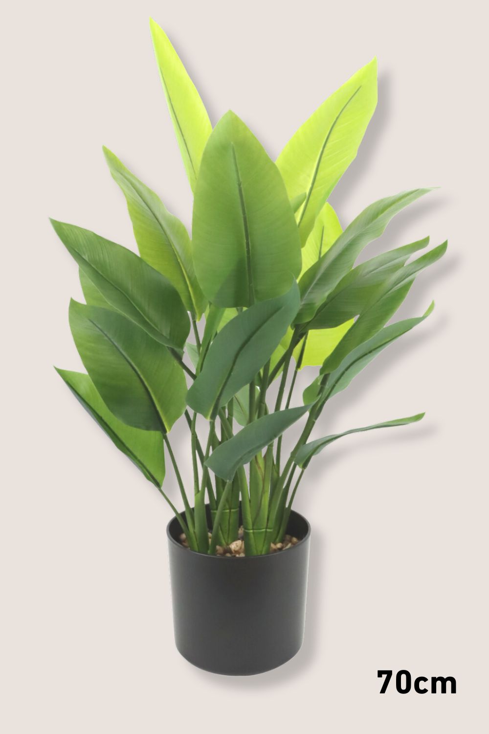 Strelitzia Kunstplantenpakket 3st.