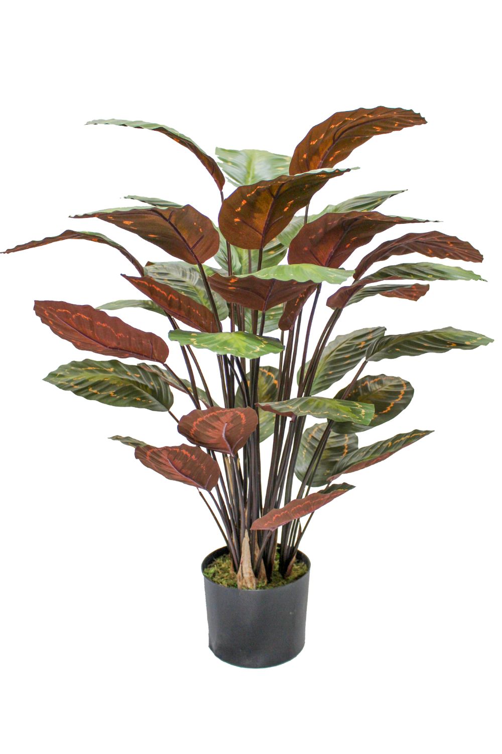 Pre-Order Calathea Kunstplant 90cm