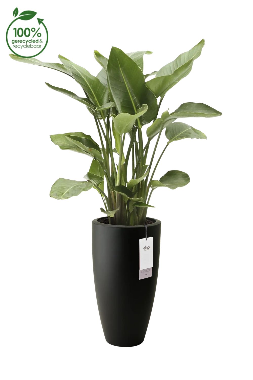 Bloempot Elho June round high 39cm zwart