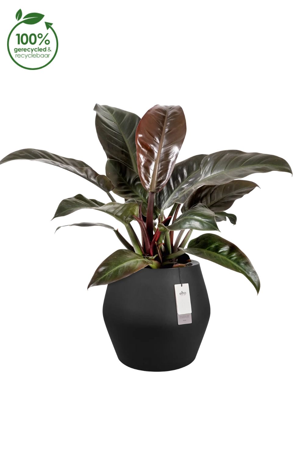 Bloempot Elho June split low 42cm zwart