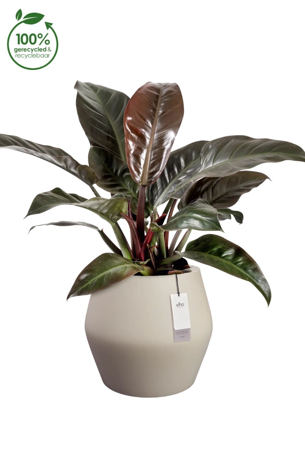 Bloempot Elho June split low 42cm balanced beige