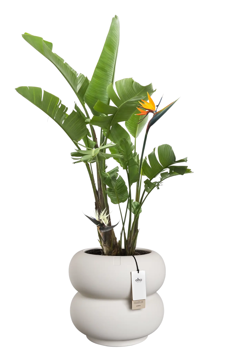 Bloempot Elho Amber roll low 40cm linnen wit