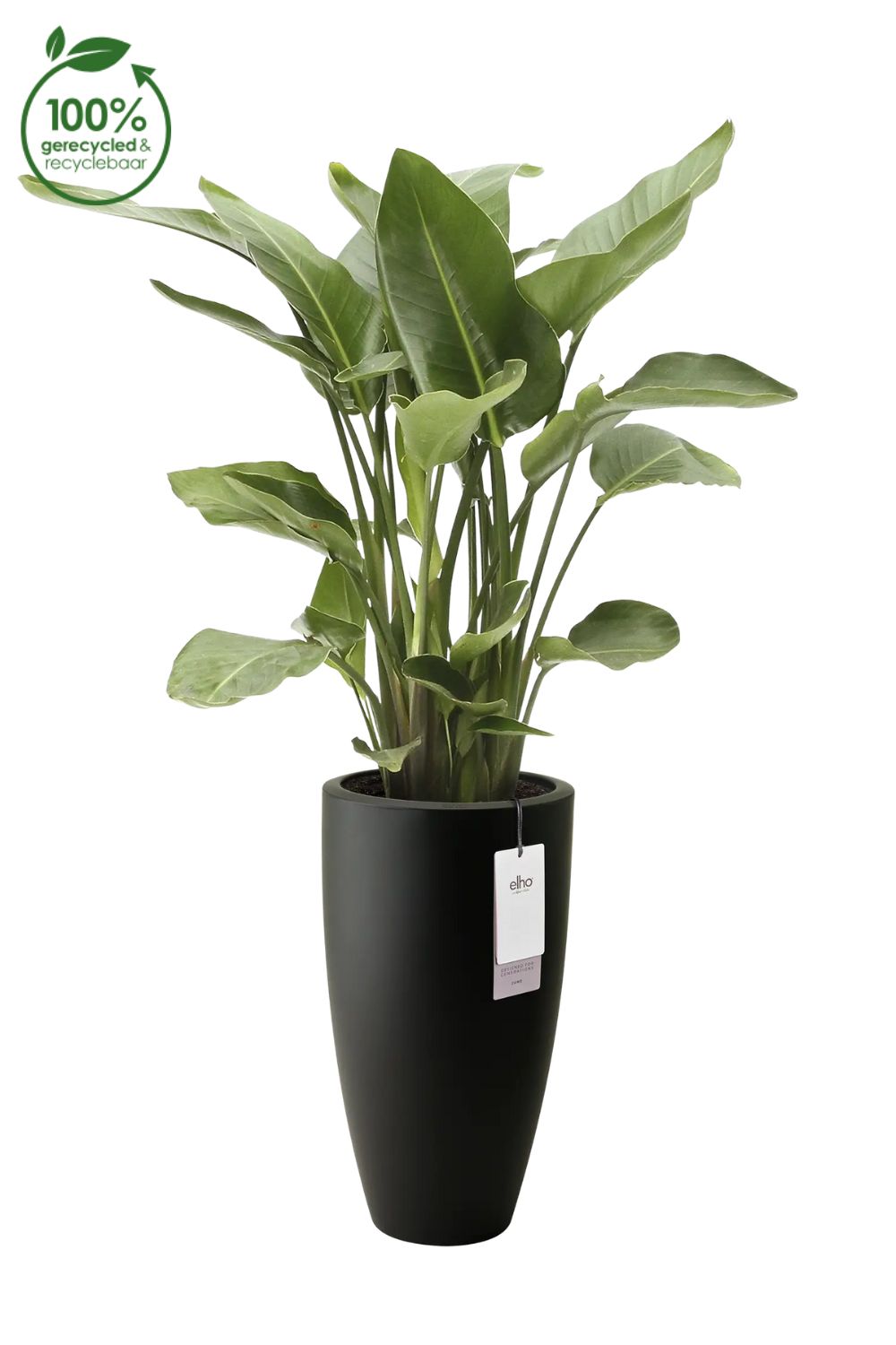 Bloempot Elho June round high 30cm zwart