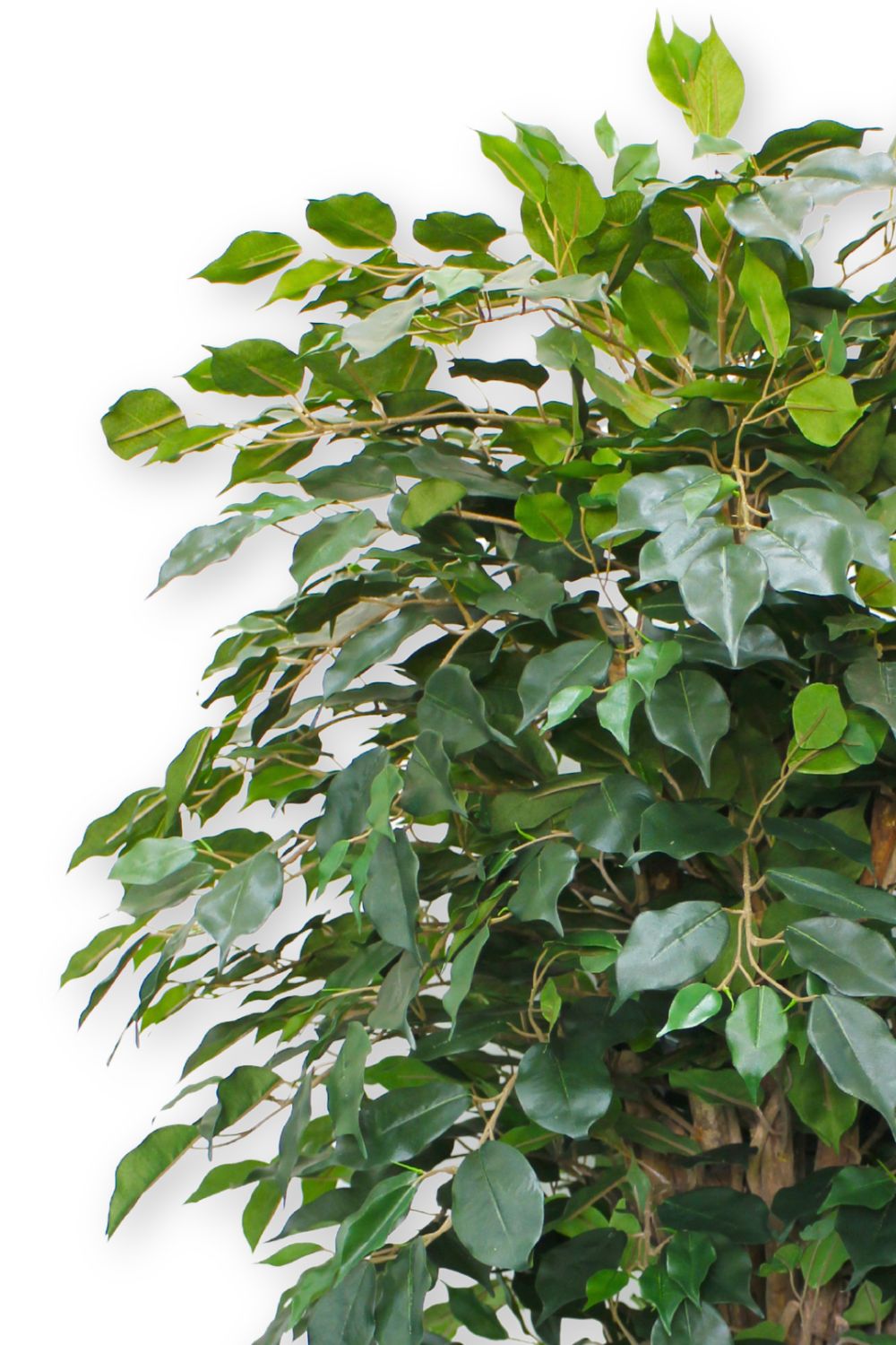 bladeren ficus kunstplant 180cm