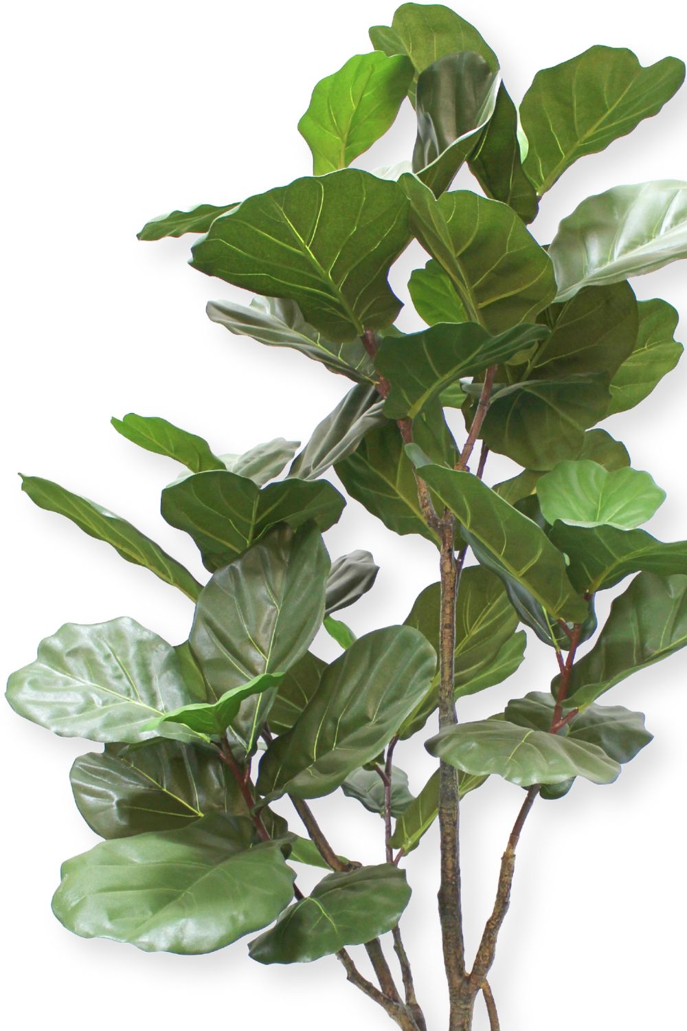 bladeren ficus lyrata kunstplant 180cm