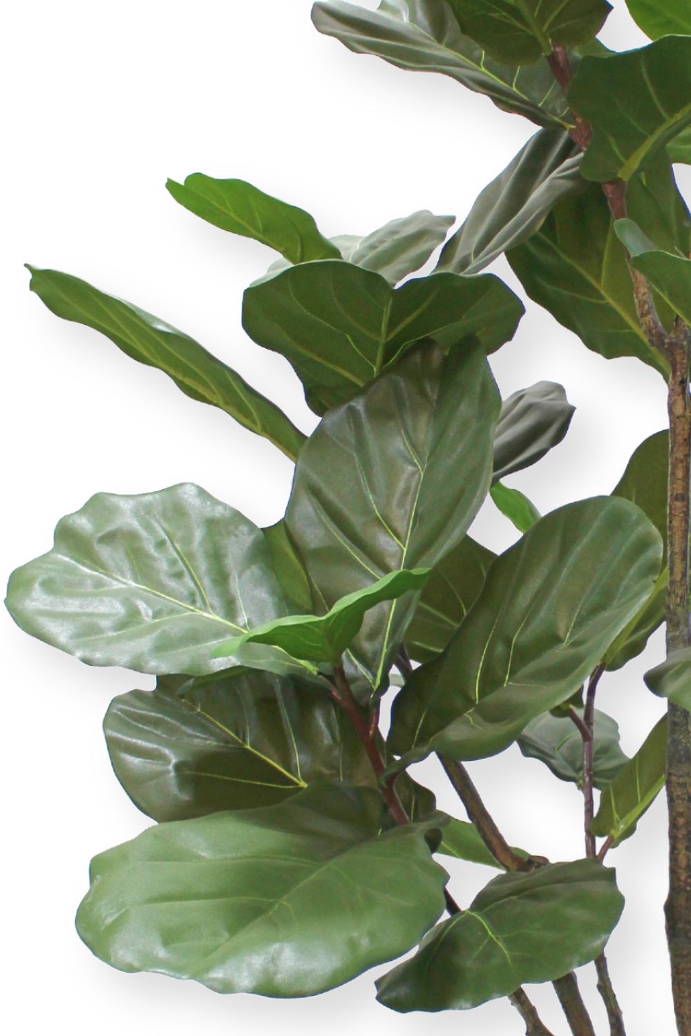 bladeren ficus lyrata kunstplant 180cm