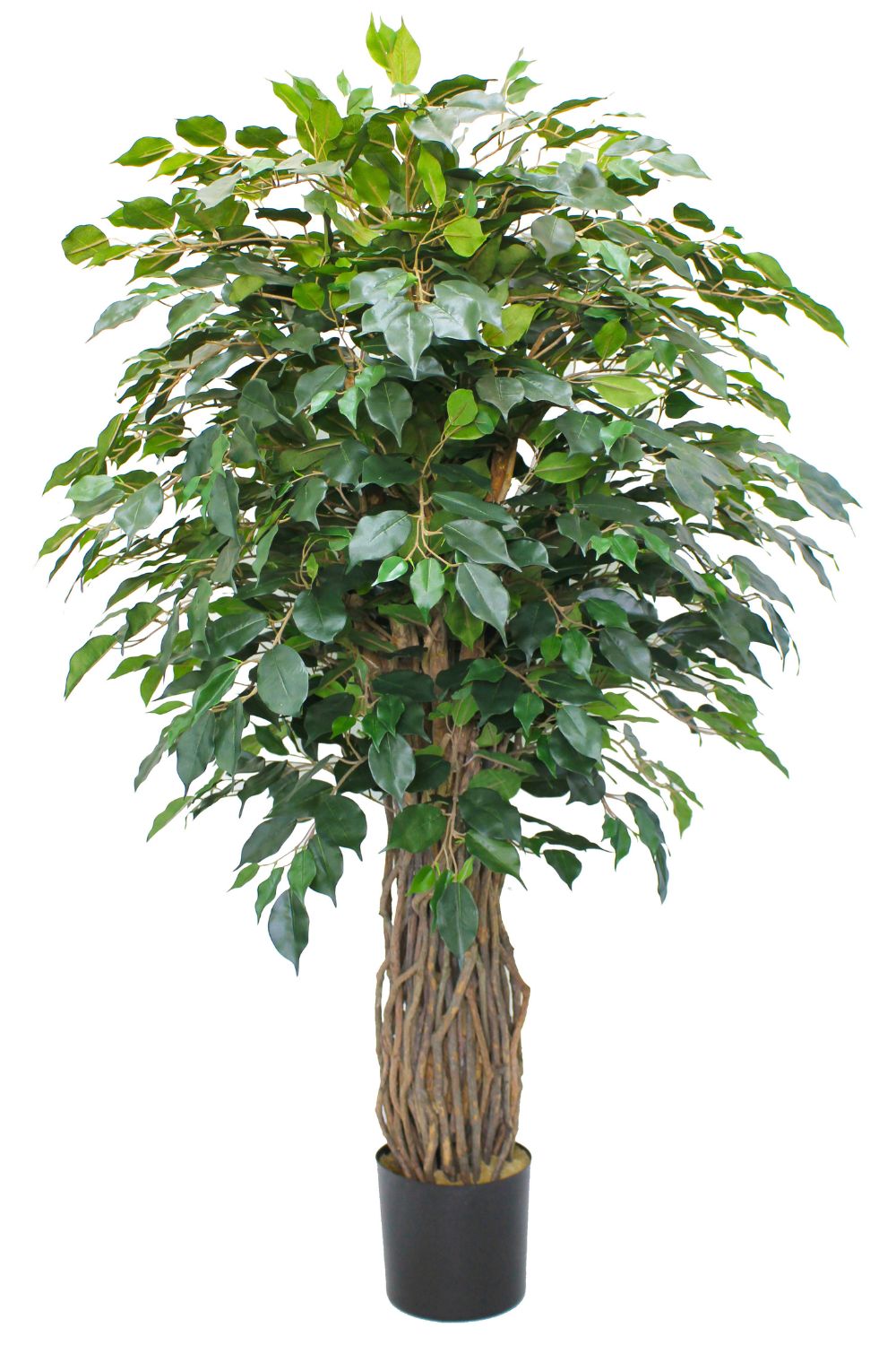 Ficus kunstplant 180cm met gevlochten stam