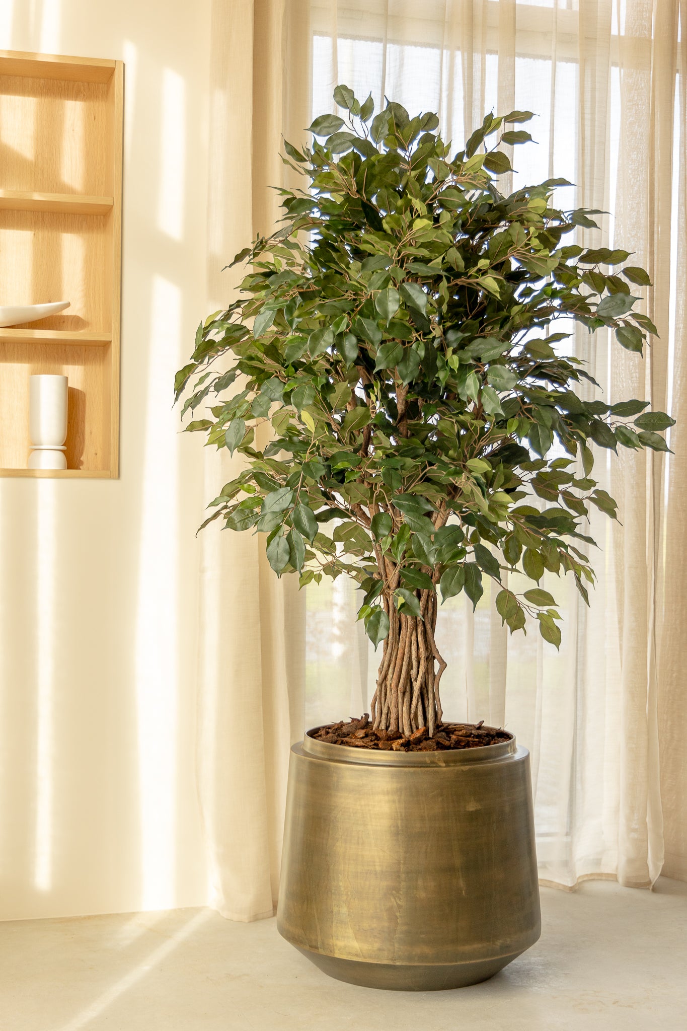 Ficus Liana Kunstplant 180cm