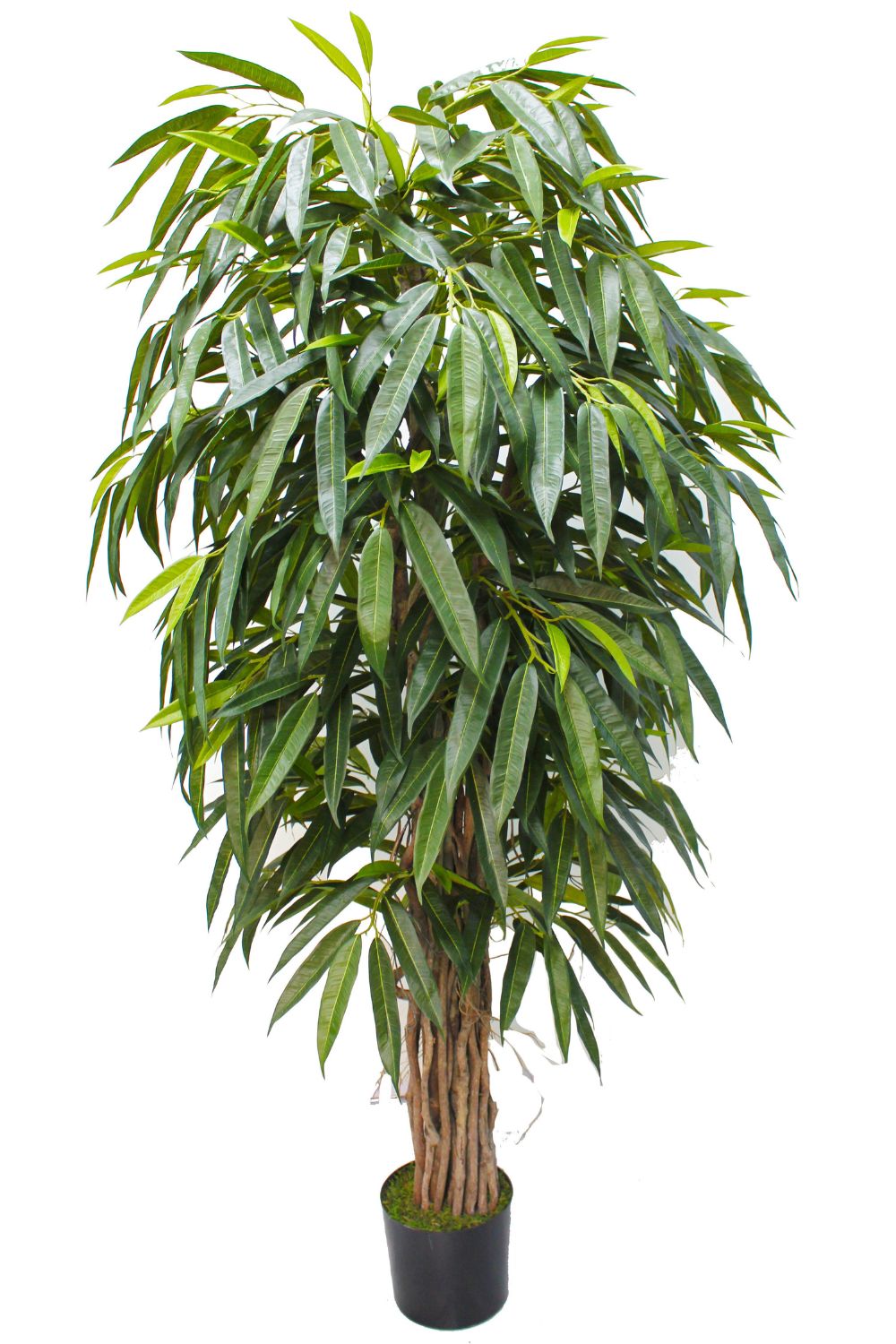 Longifolia Kunstplant 180cm