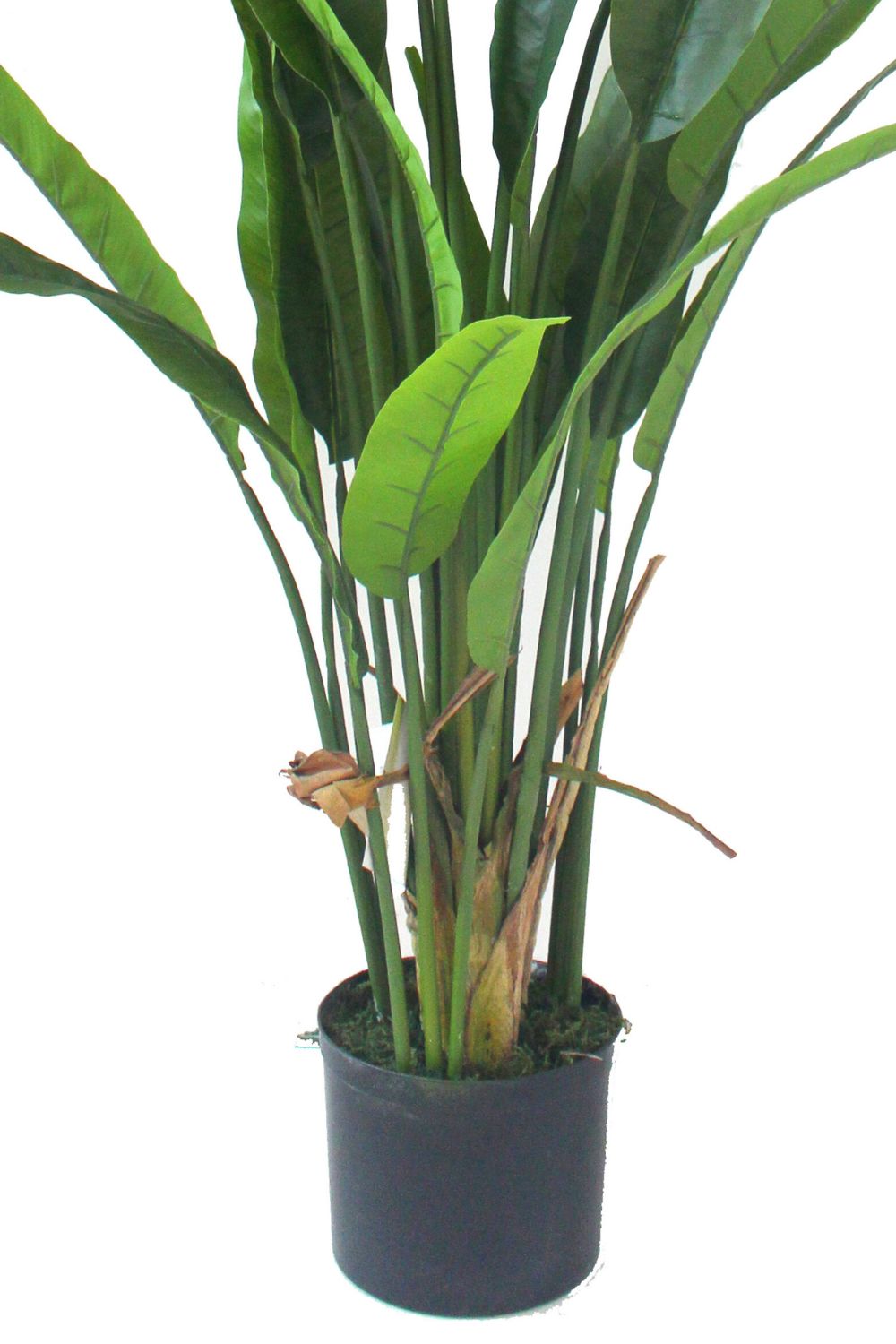 Strelitzia Kunstplant 160cm