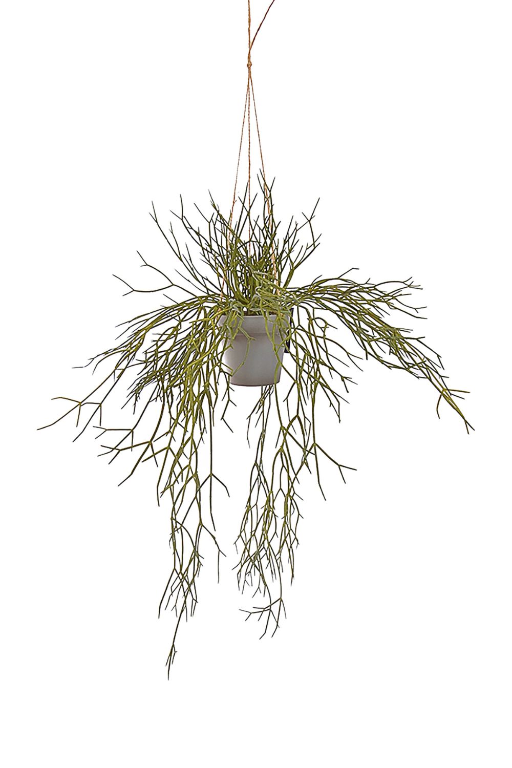 Rhipsalis Kunst Hangplant 50cm