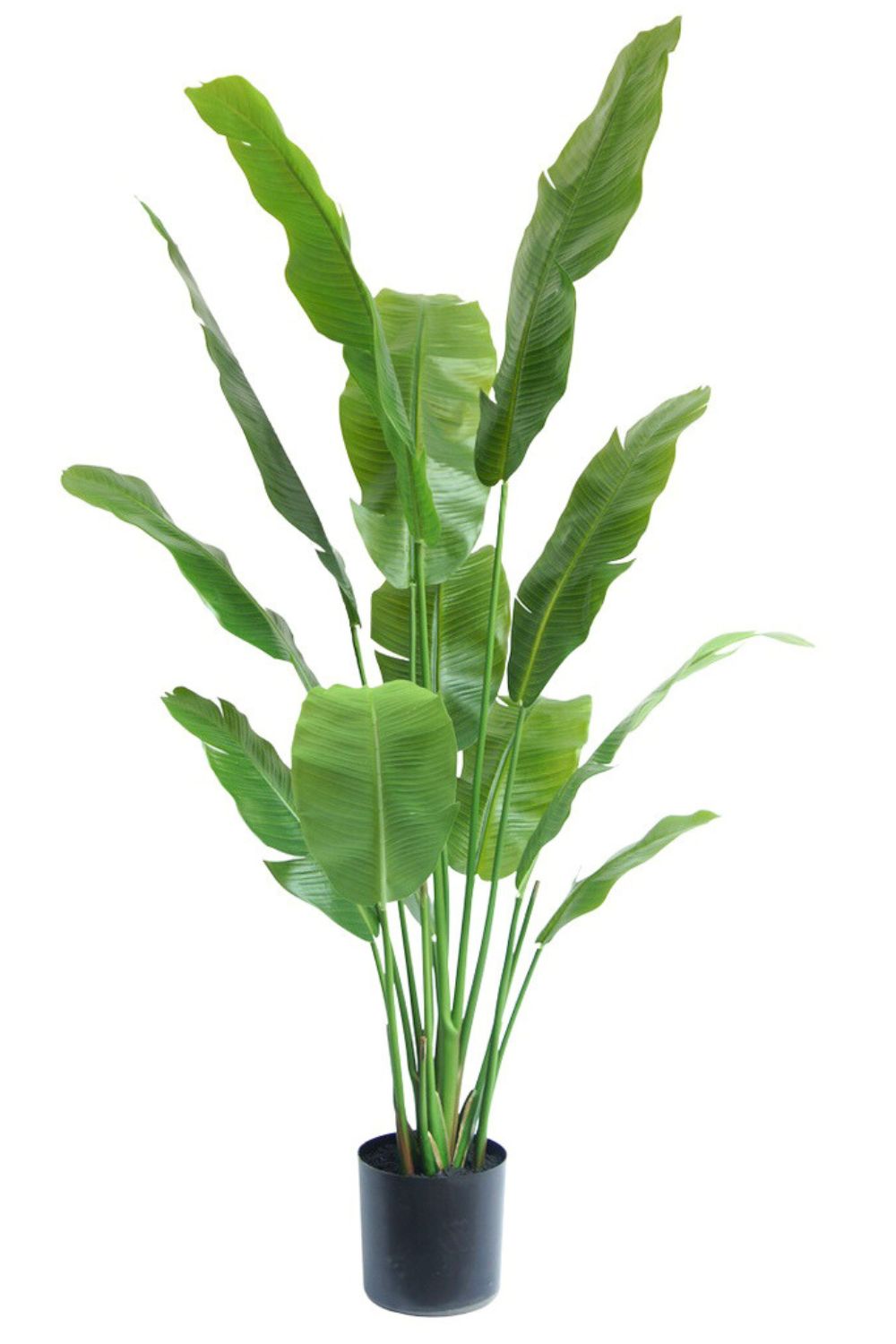 Strelitzia Kunstplant 165cm