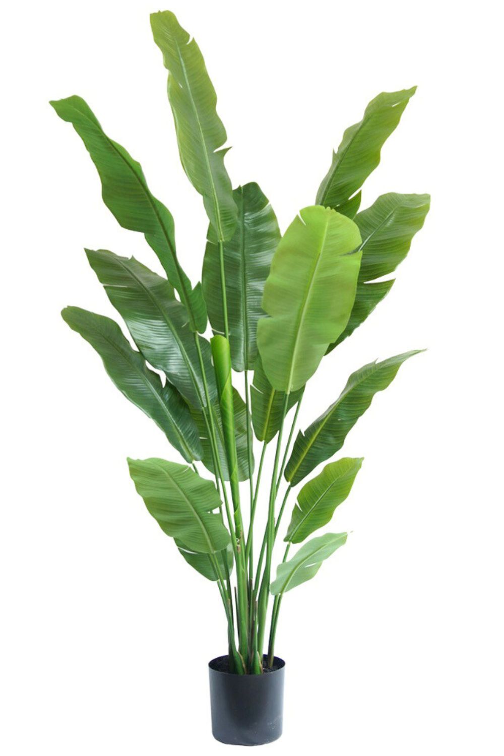 Strelitzia Kunstplant 180cm
