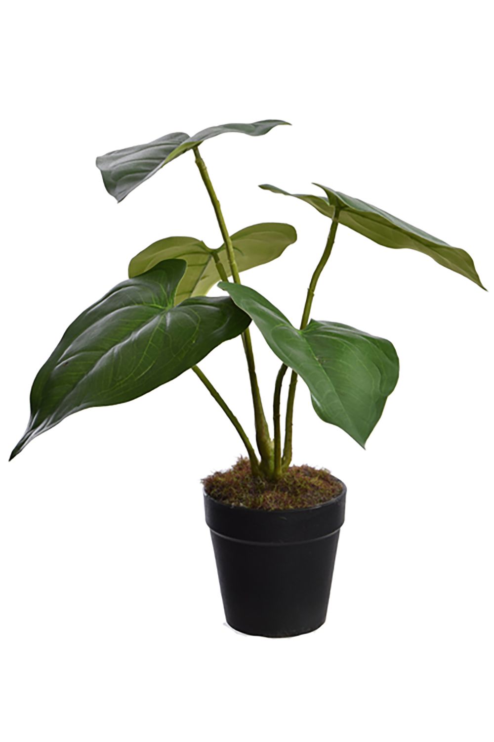 Anthurium Kunstplant 30cm