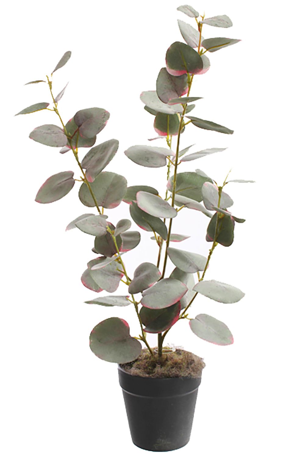 Eucalyptus Kunstplant 45cm