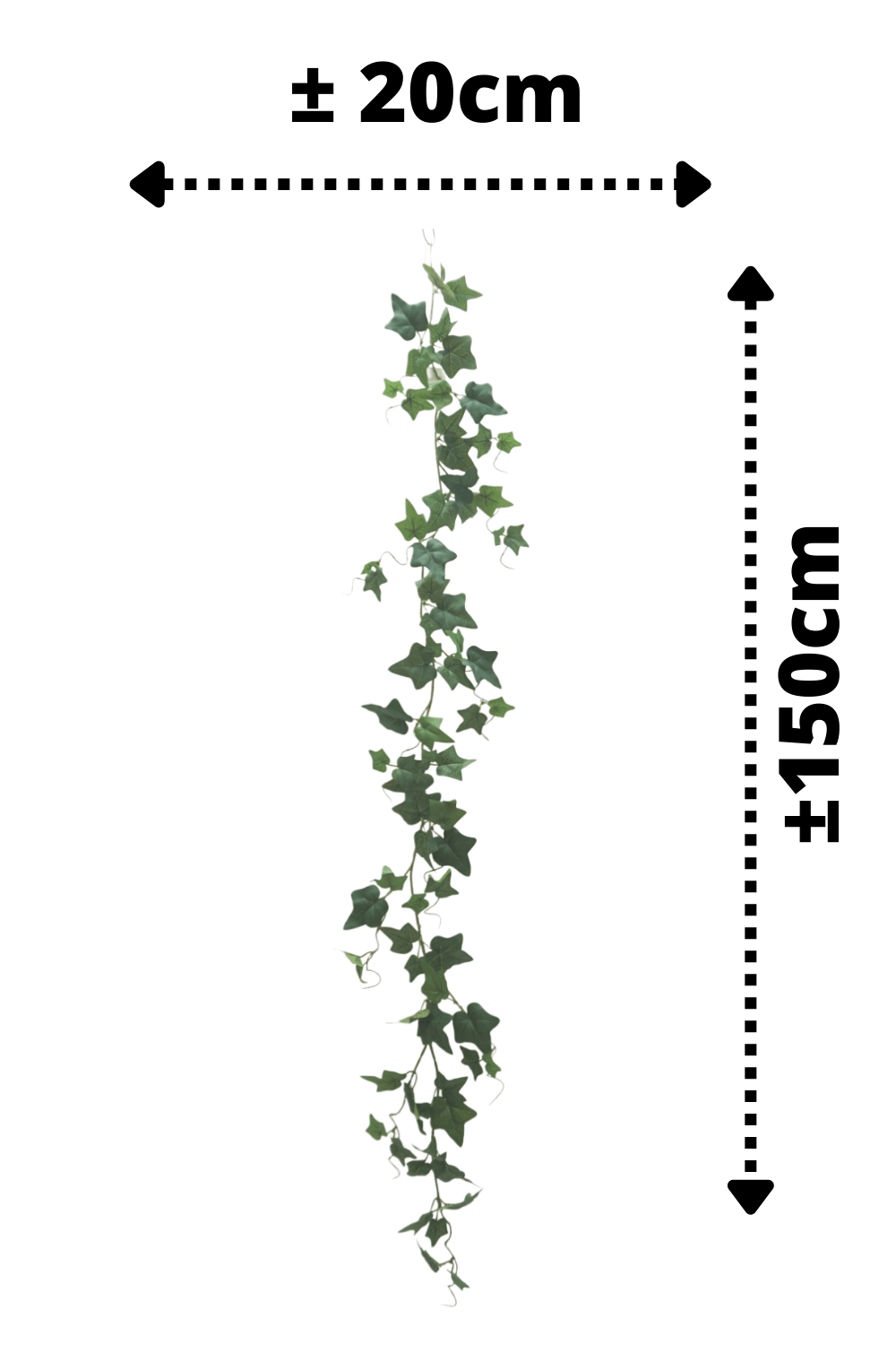 afmetingen Hedera guirlande 2 150cm