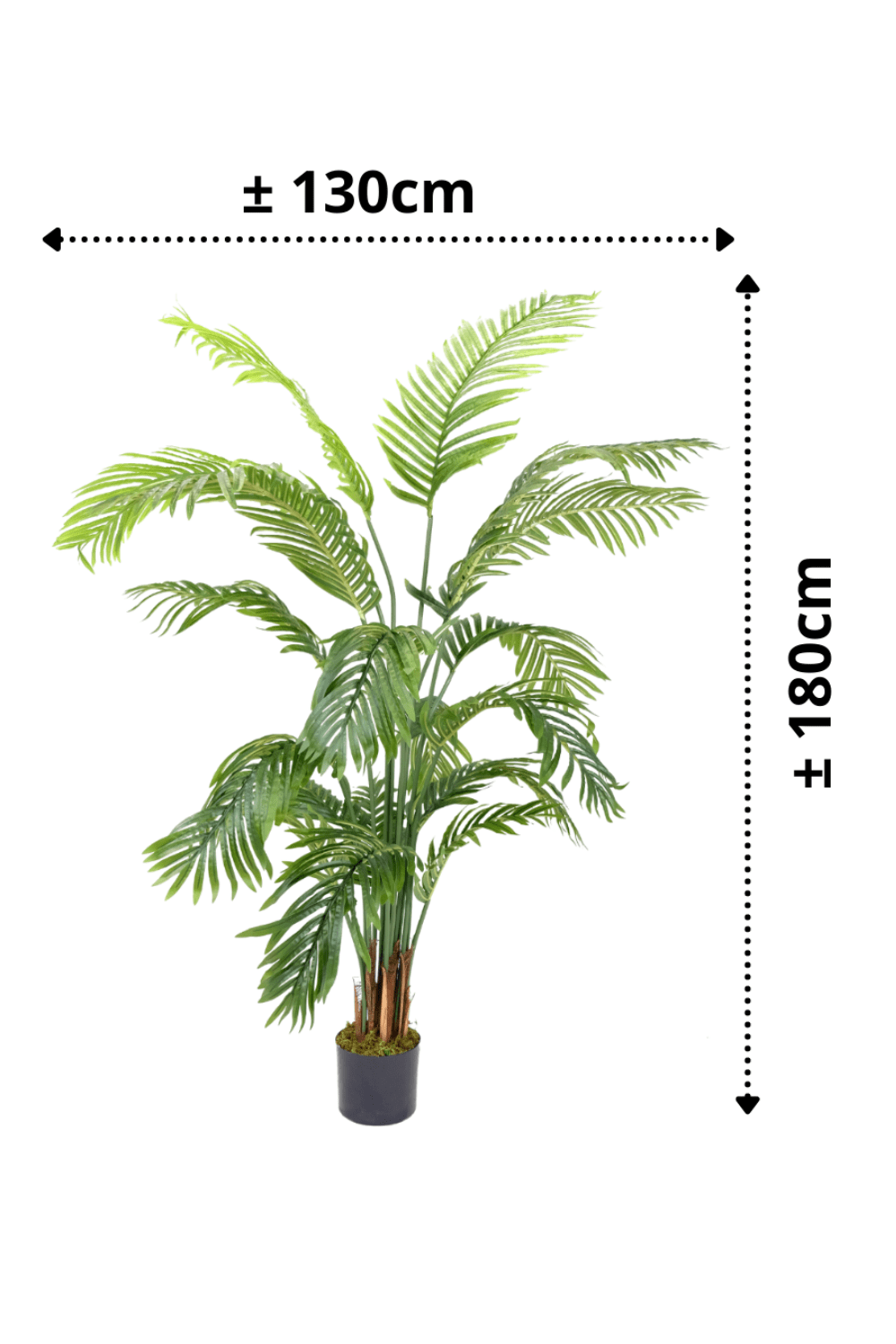 Kunstpalm 180cm | Gratis Thuisbezorgd | PrettyPlants